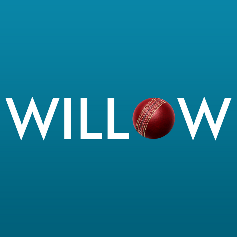 Willow Cricket